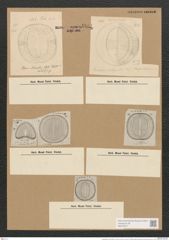 Campylodiscus circumactus A. Schm. (de-Toni-Nr.: Genus 57, Species 2426) Zeichnungen Sammlung Grunow Nr. 4881 (NHMW-BOT-W0373071)